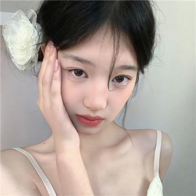 豹 封面