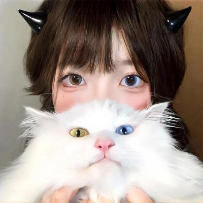 眨眼廿年 封面